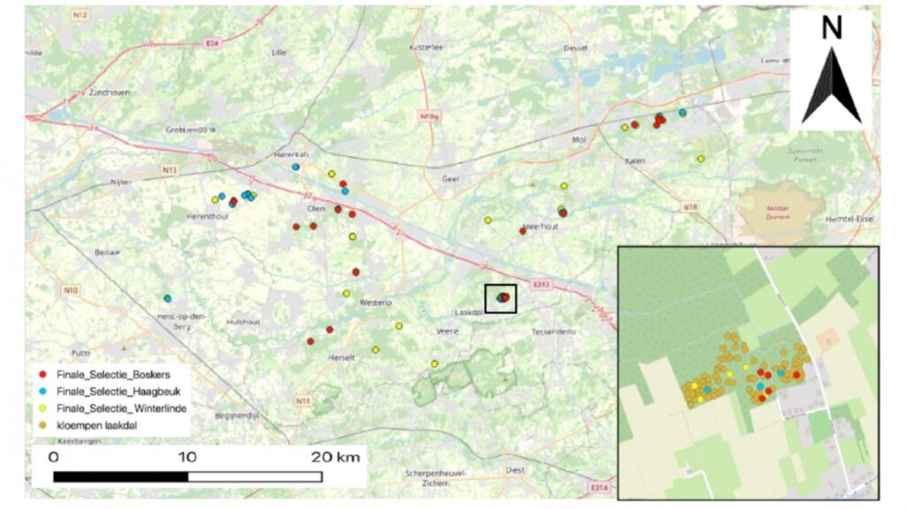 Rijkstrooiselsoorten Op Arme Groeiplaatsen: Limits To Growth? - BOS+