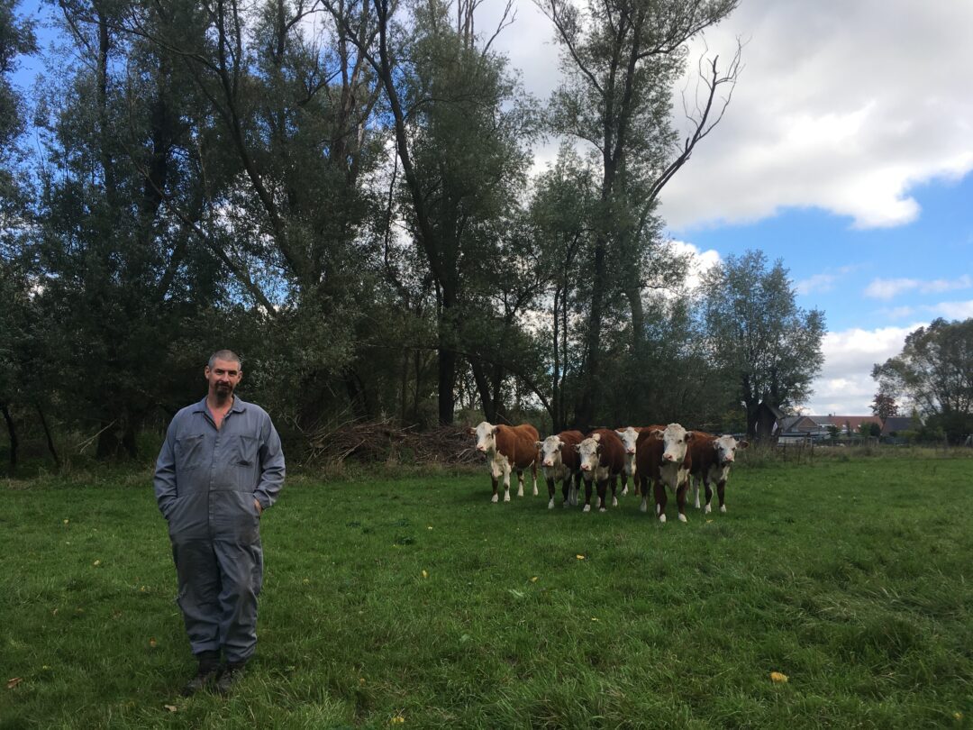 Koolstofopslag in boslandbouw